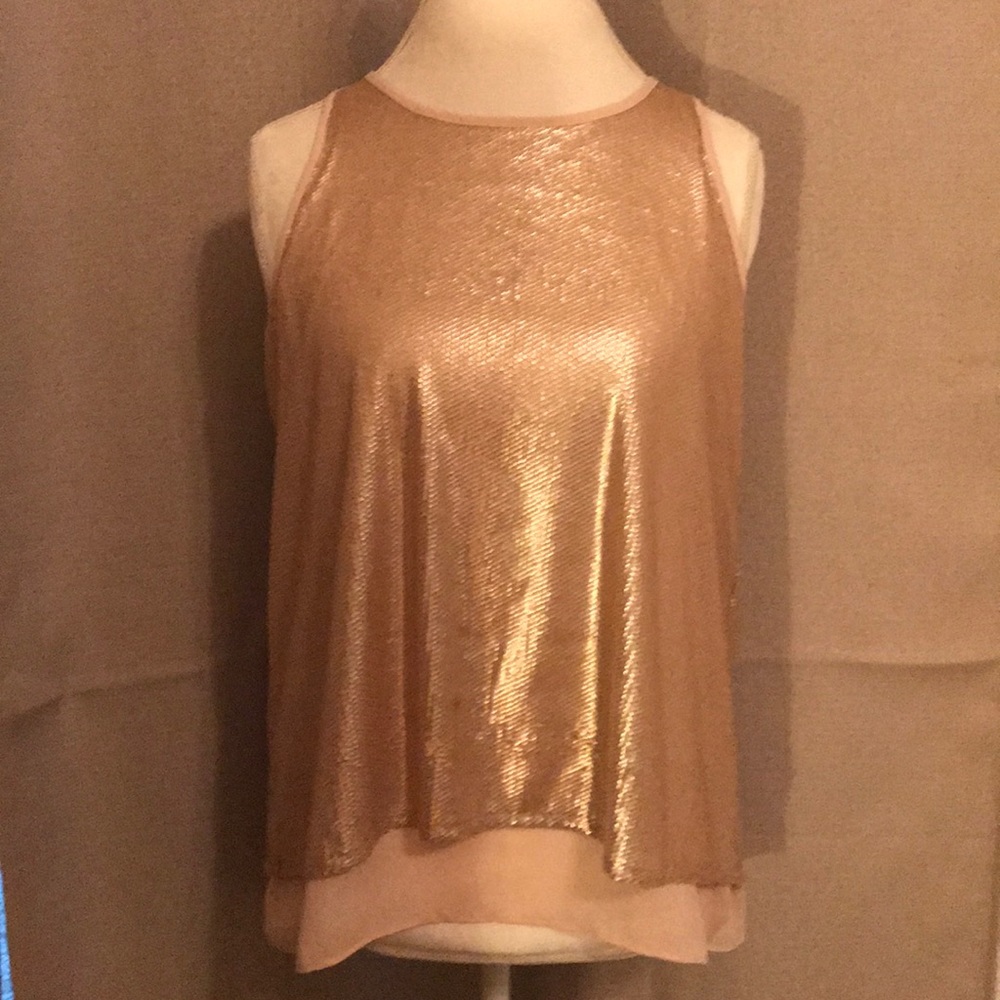 3 for $20 Blush sequins sheer top